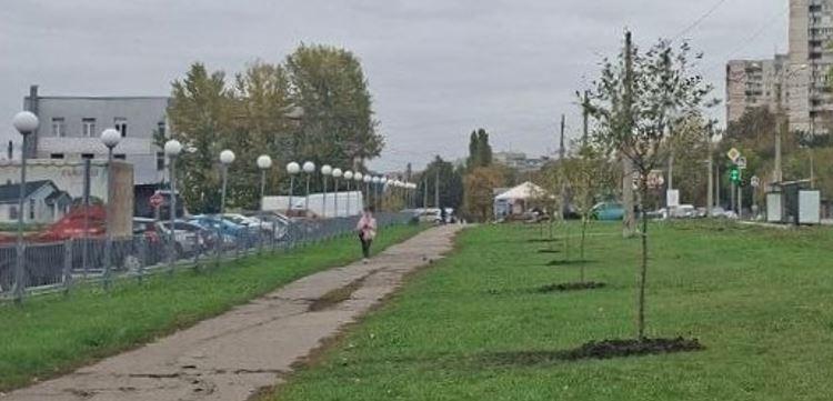 деревце